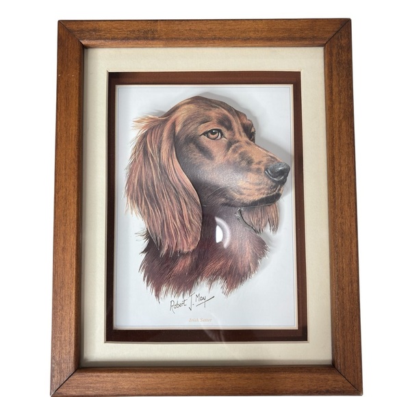 Irish Setter Dog 3D Print Signed By Artist Robert J. May Wooden Frame 9 X 11.5 - Picture 7 of 11